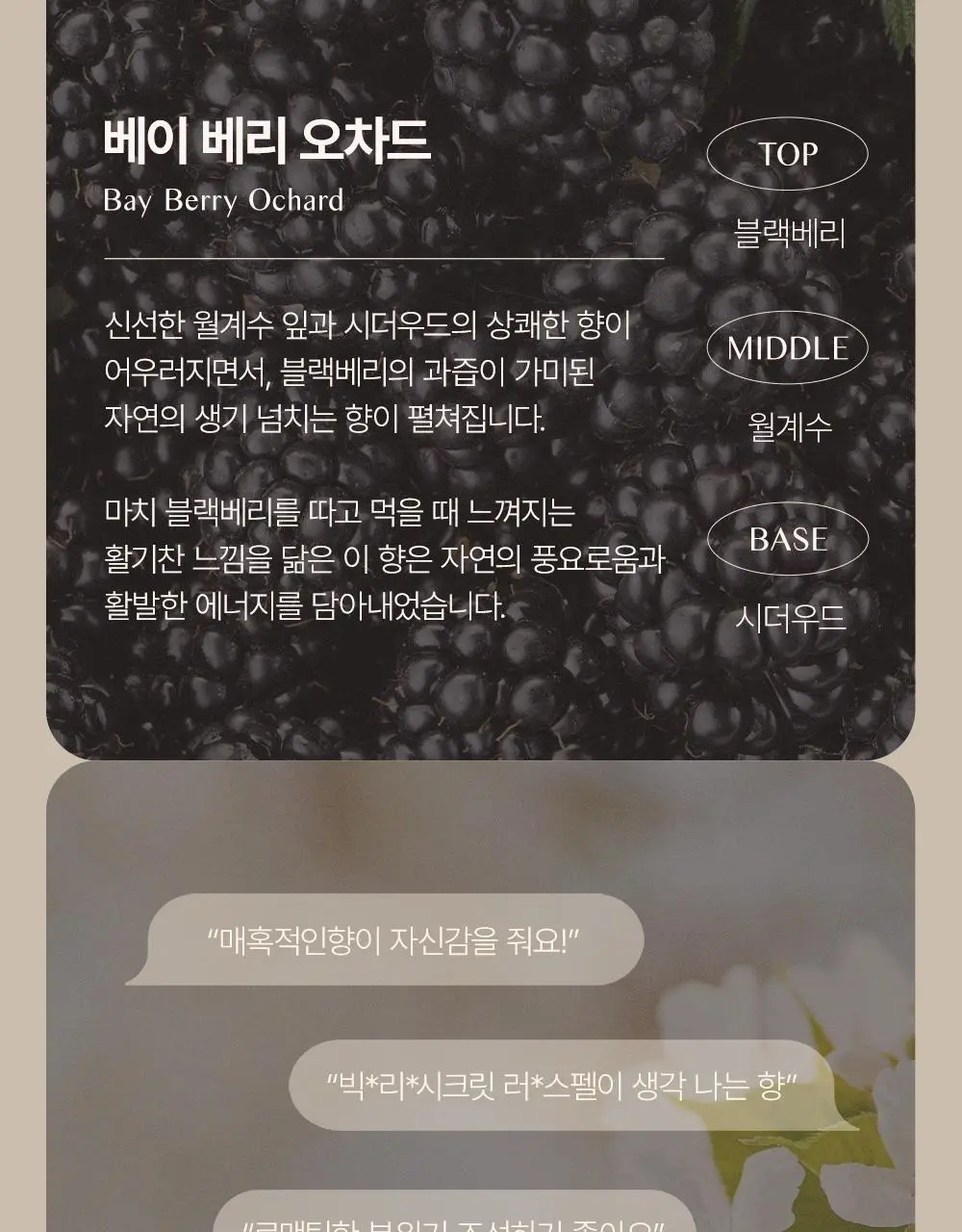 [대용량] 바디브 약산성 미용실 퍼퓸 샴푸 [비듬 가려움 개선] 5종 택 1 상세페이지 29